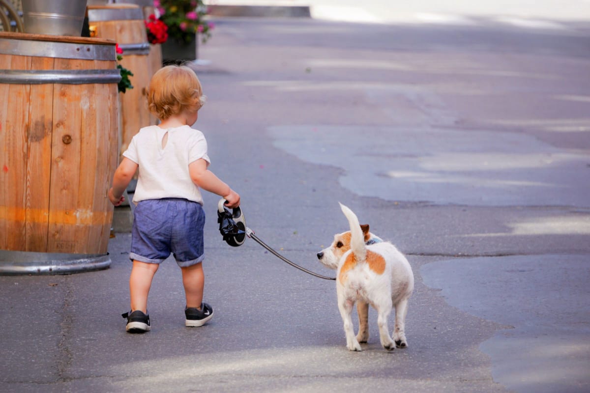 taking a walk